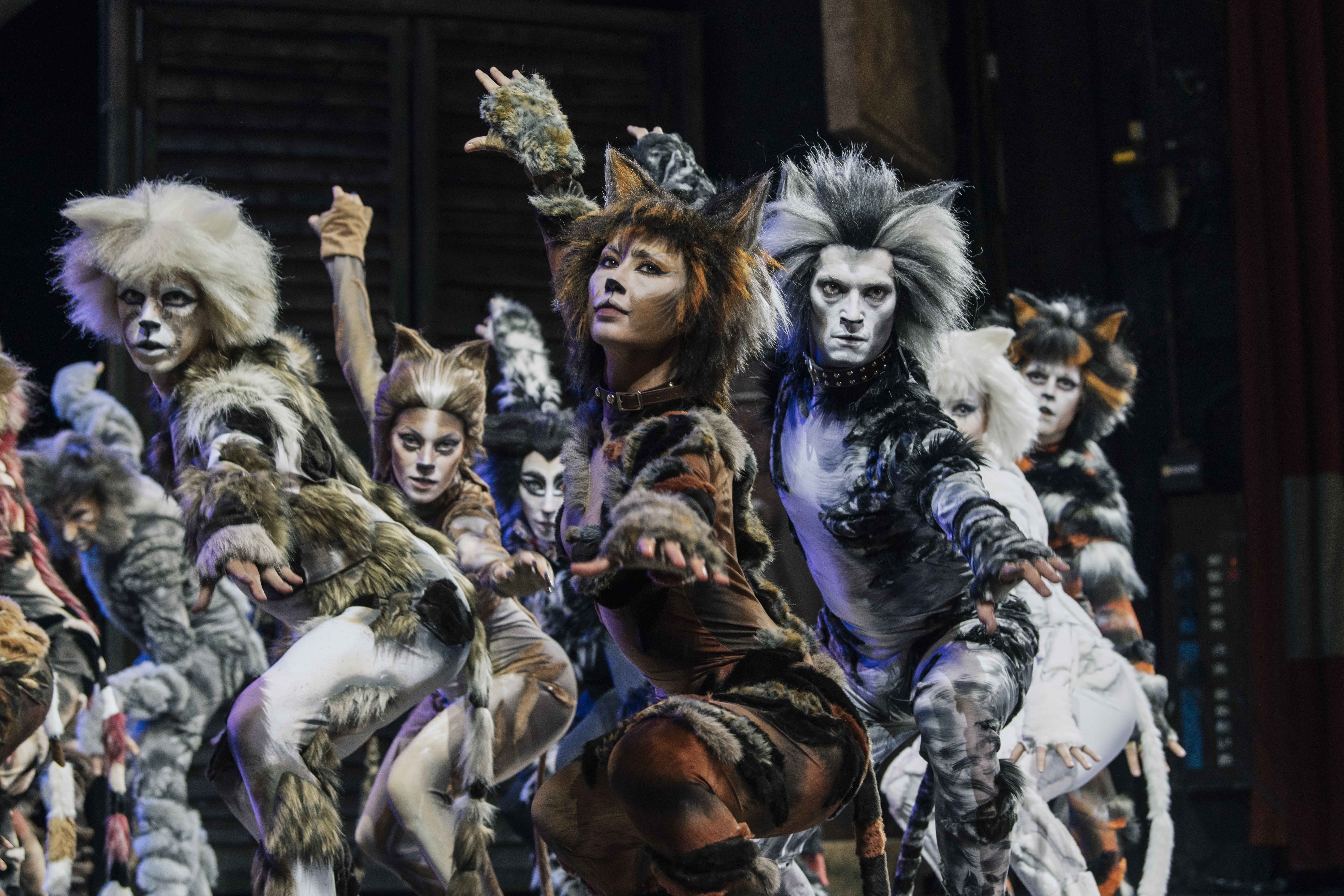 “Cats”, Malika Ayane é Grizabella nel celebre musical nella versione italiana di Massimo Romeo Piparo al Sistina